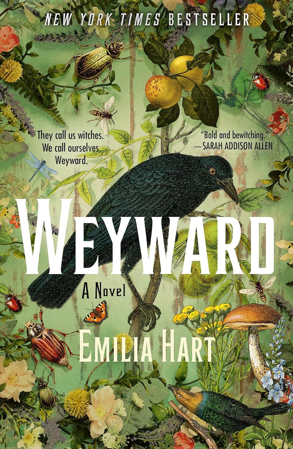 Book cover of Weyward by Emilia Hart.