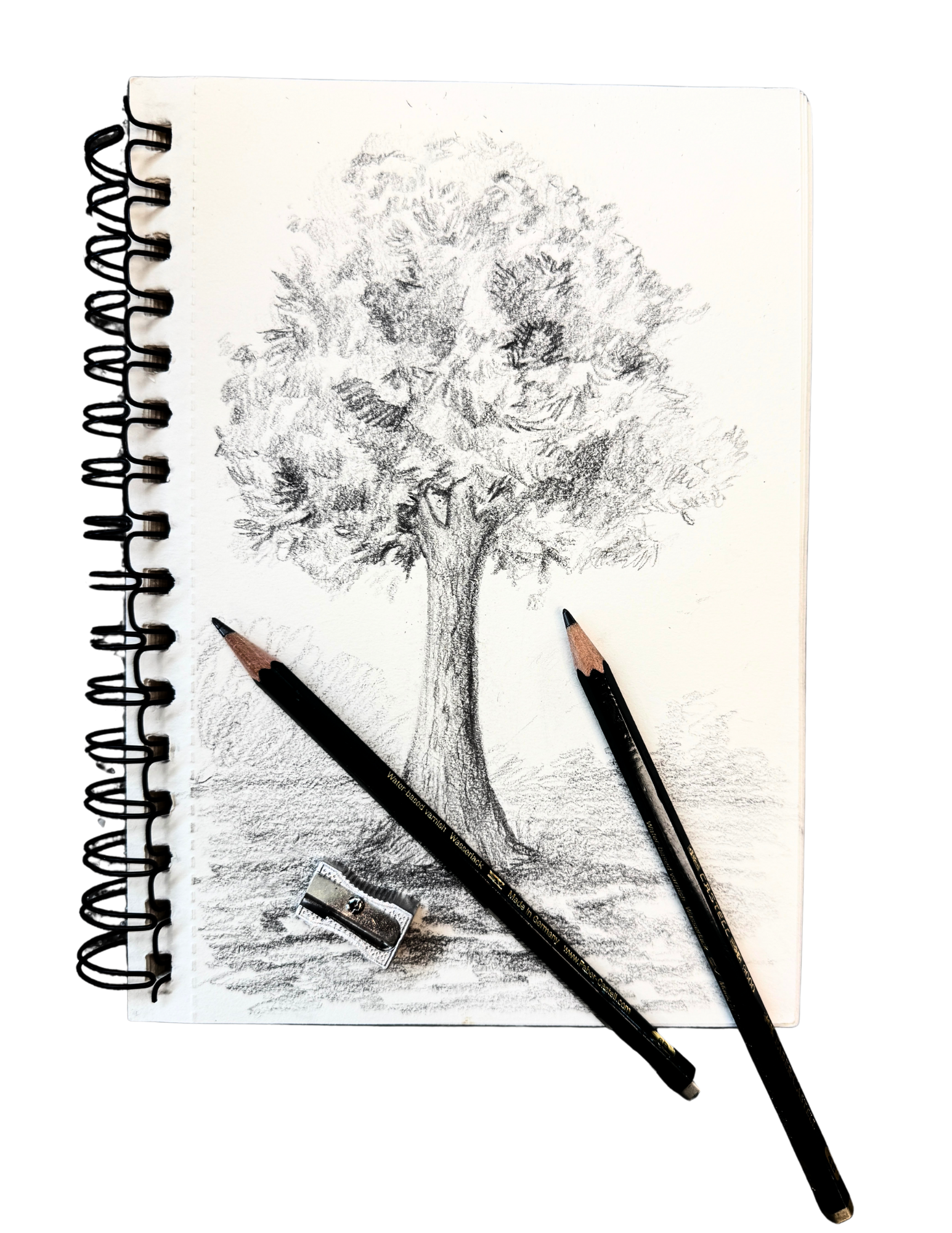 Sample of Nature Drawing Kit, including completed sketch