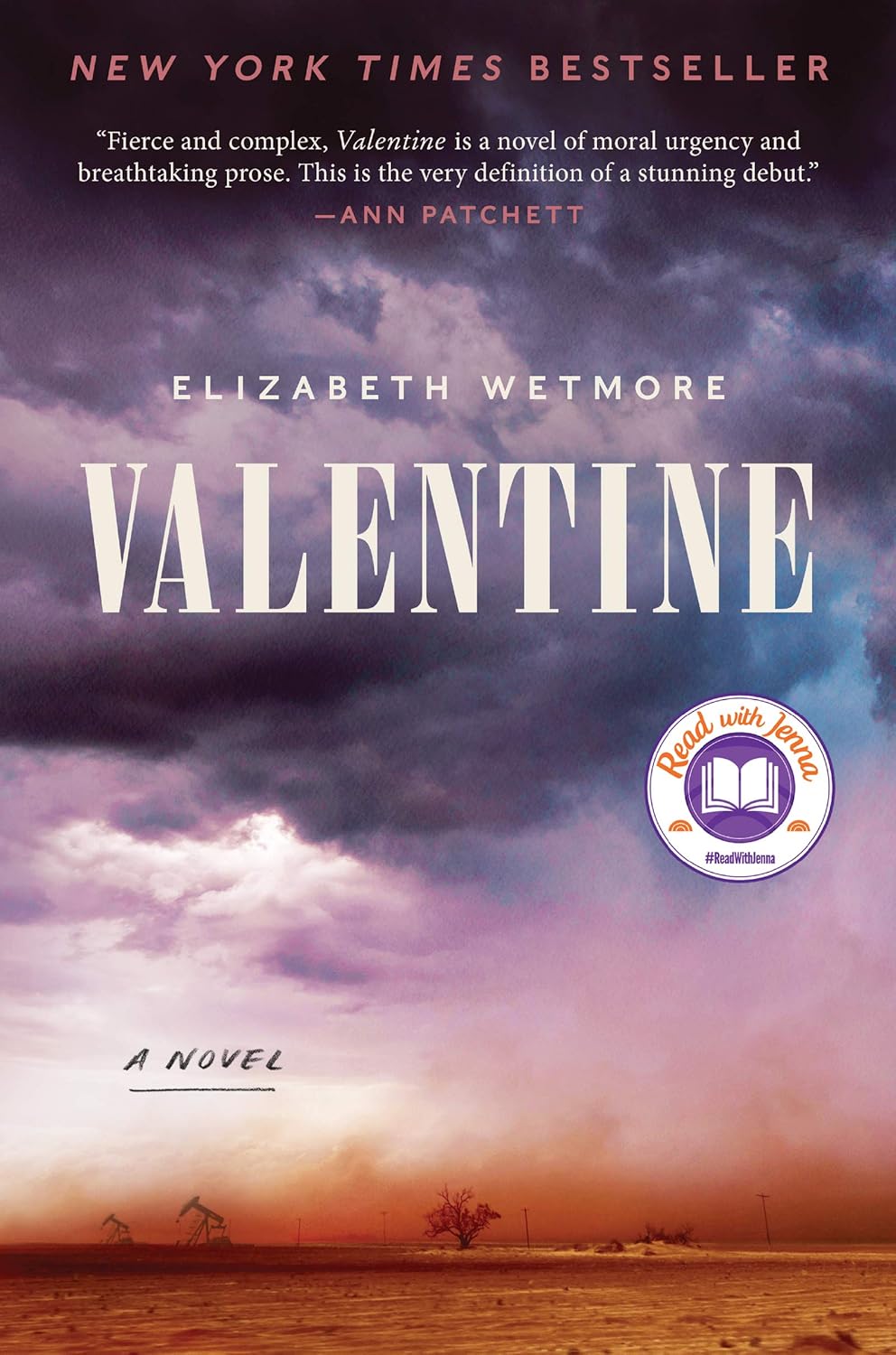 Book cover of Valentine: A Novel by Elizabeth Wetmore