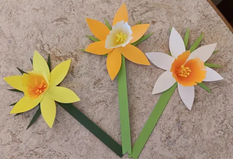 3D Paper Daffodil Craft March 2026
